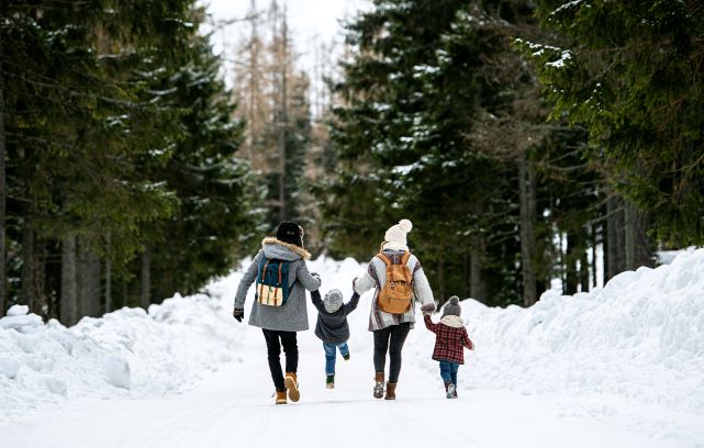 Rear view of a family of four walking happily down an evergreen tree-lined and snow covered road.